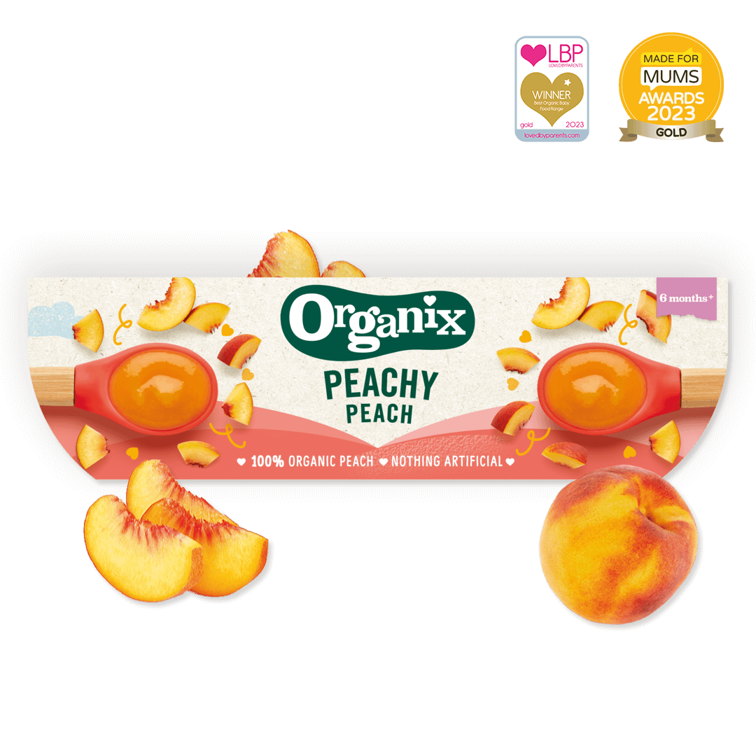mango-puree-recipe-for-baby-6-months-organix